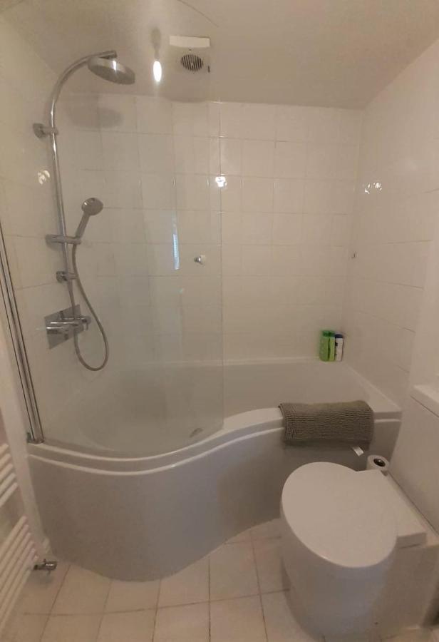 2 Bedroom Victorian Garden Flat Londres Extérieur photo